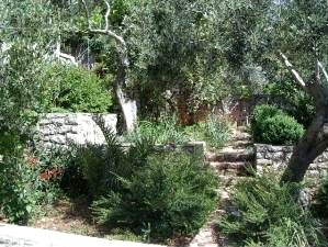 Appartement mariolina3